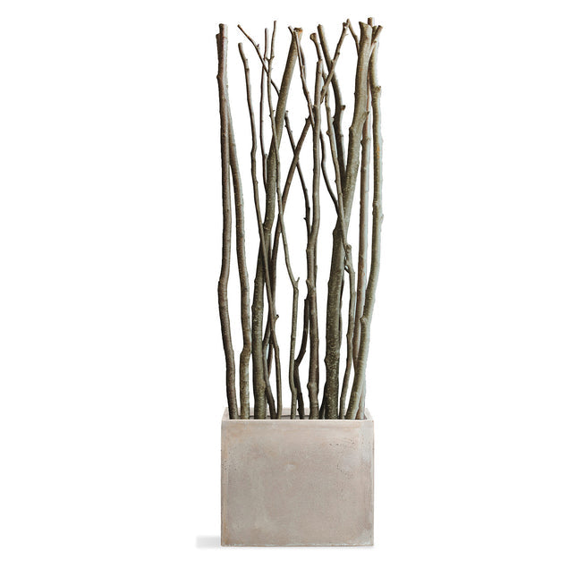 Gold Leaf Design Group, Alder Poles in Urbano Rectangle Planter - Small