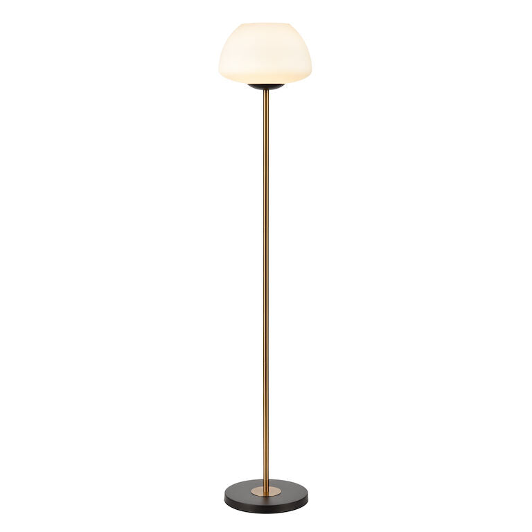 Elk Home, Ali Grove 62'' High 1 - Light Floor Lamp - Aged Brass