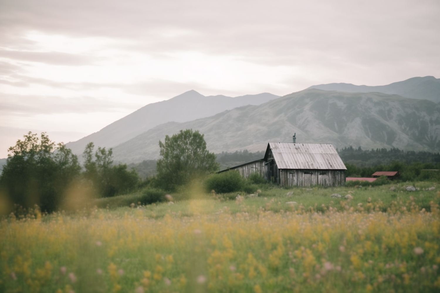 FASart, Alpine Meadows House