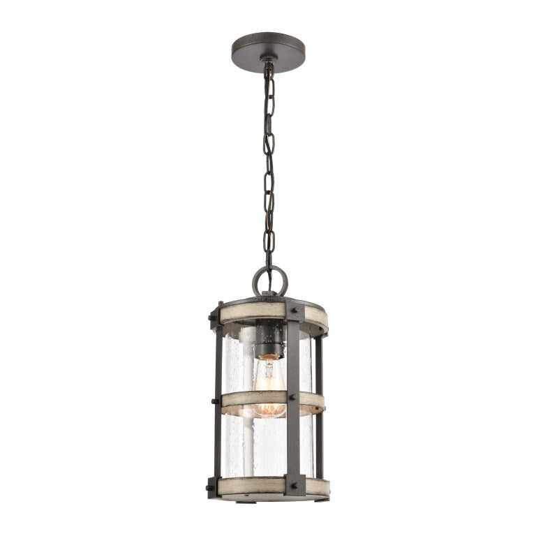 Elk Home, Annenberg 8'' Wide 1-Light Outdoor Pendant - Anvil Iron