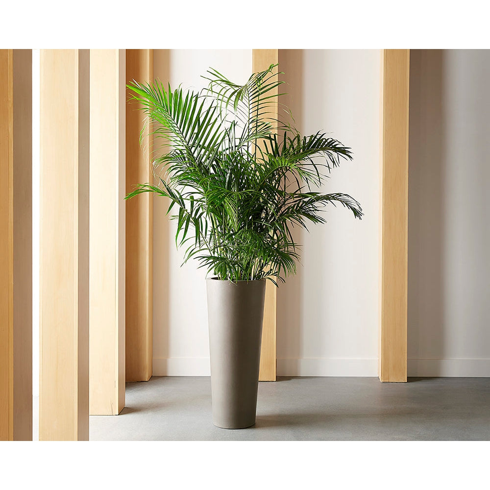 Sunpan, Arbor Planter