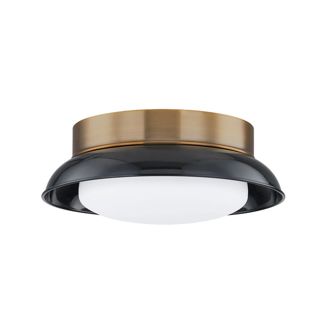 Troy Lighting, Arnie 2 Light Flush Mount