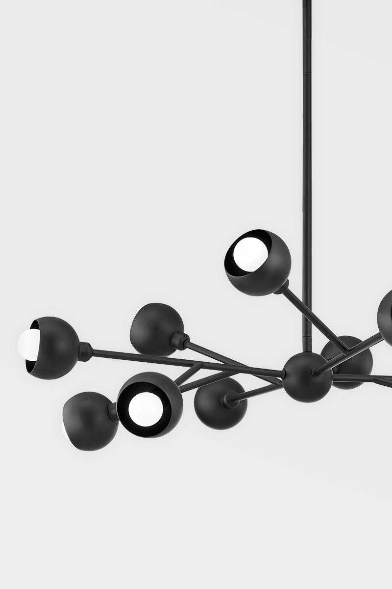 Troy Lighting, Colt 12 Light Chandelier Soft Black