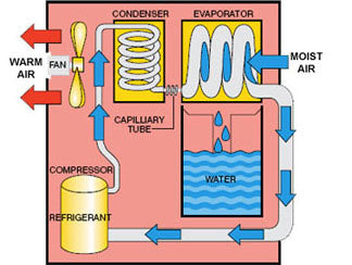 How and Ebac K-100 Dehumidifiers Work