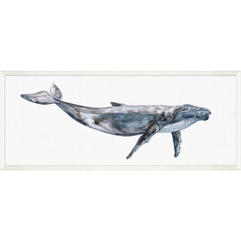 Wendover, Whale Study 1