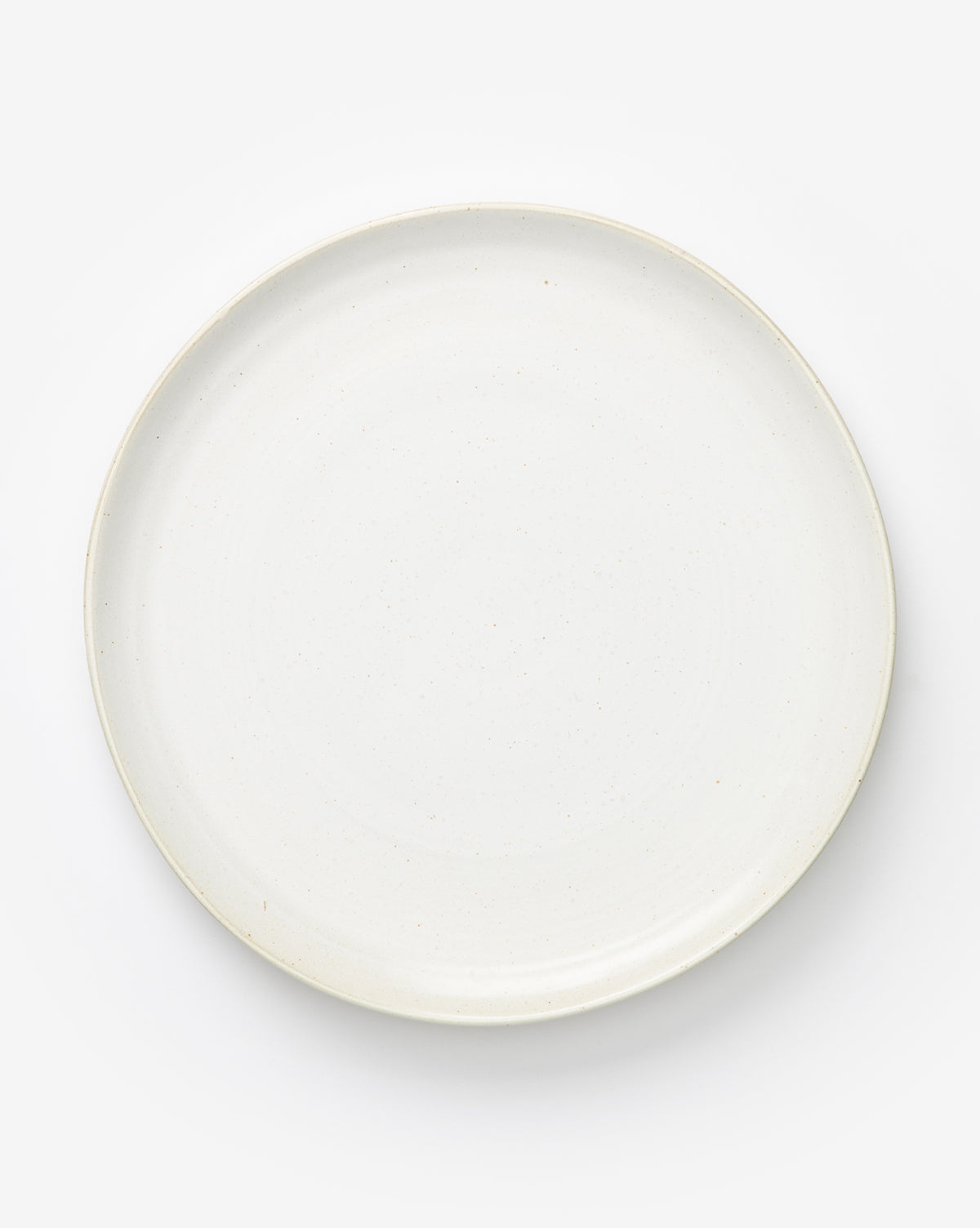 Society of Lifestyle, White & Gray Speckled Porcelain Dinner Plate