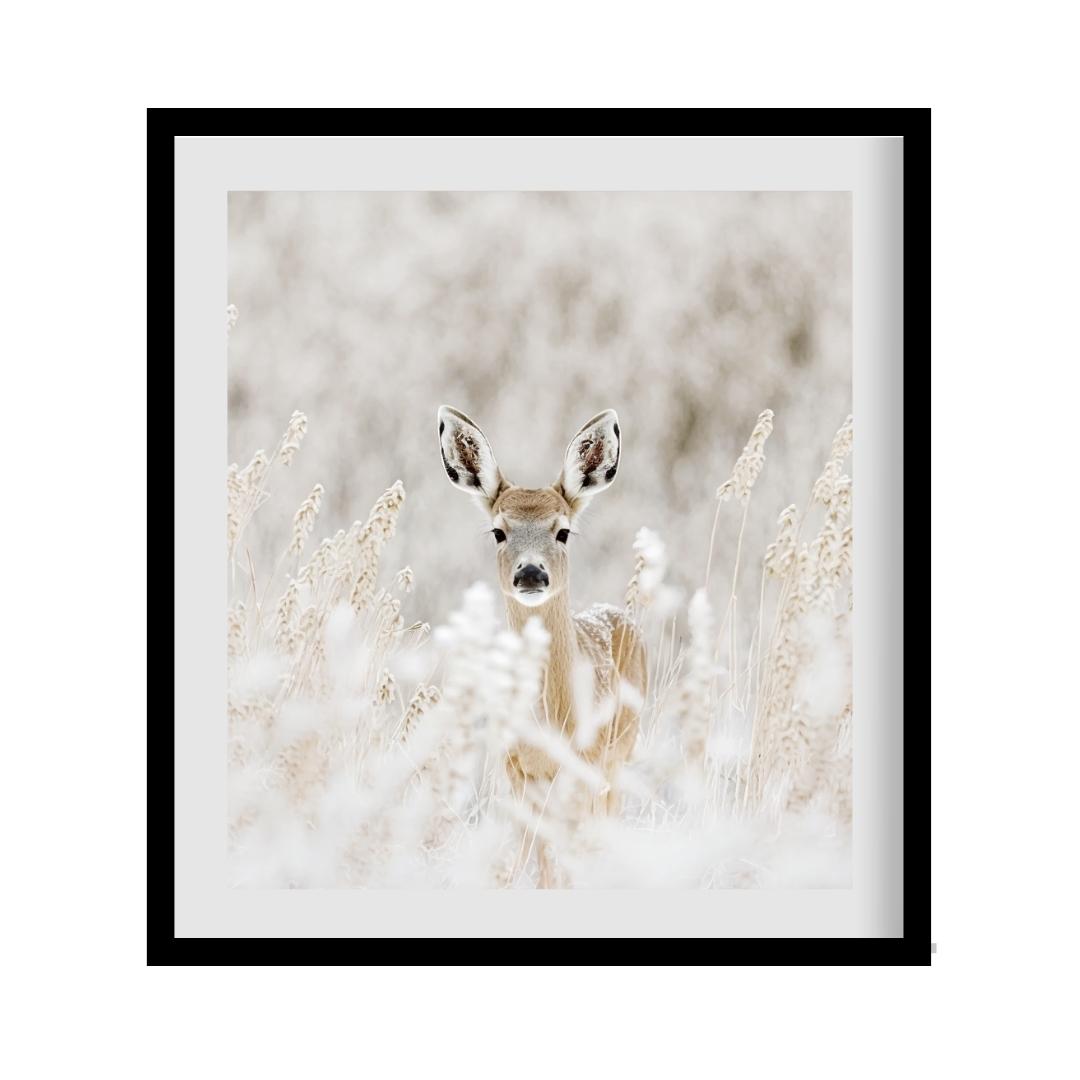 FASart, White-tailed Deer in a Flowery Meadow