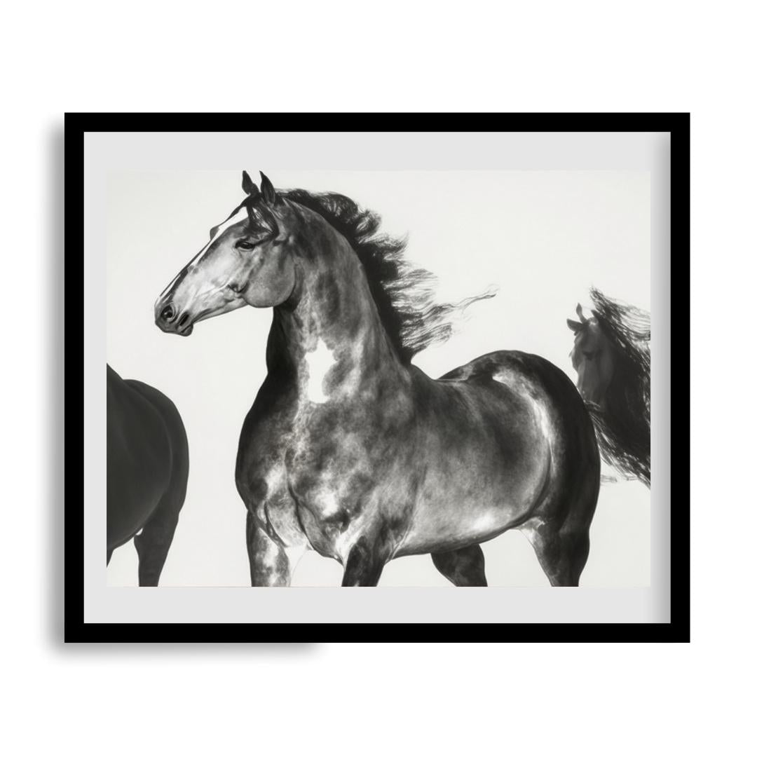 FASart, Wild Beauty - Limited Edition Print