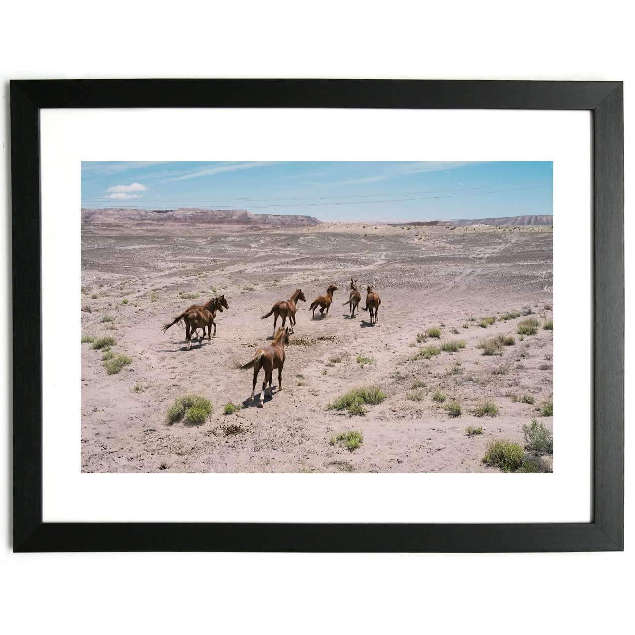 FASart, Wild Horses in the Kaibab Plateau - Limited Edition Photograph