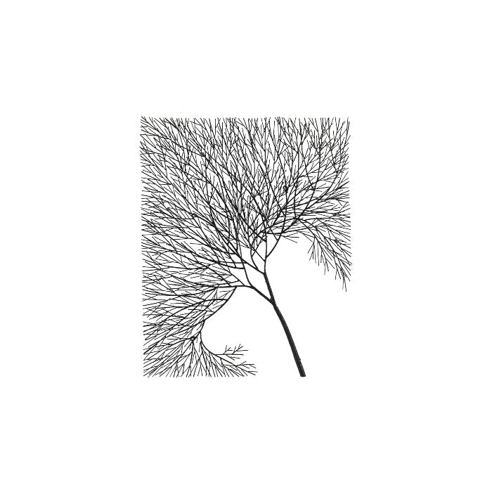 Phillips Collection, Wire Tree Wall Art - Rectangular