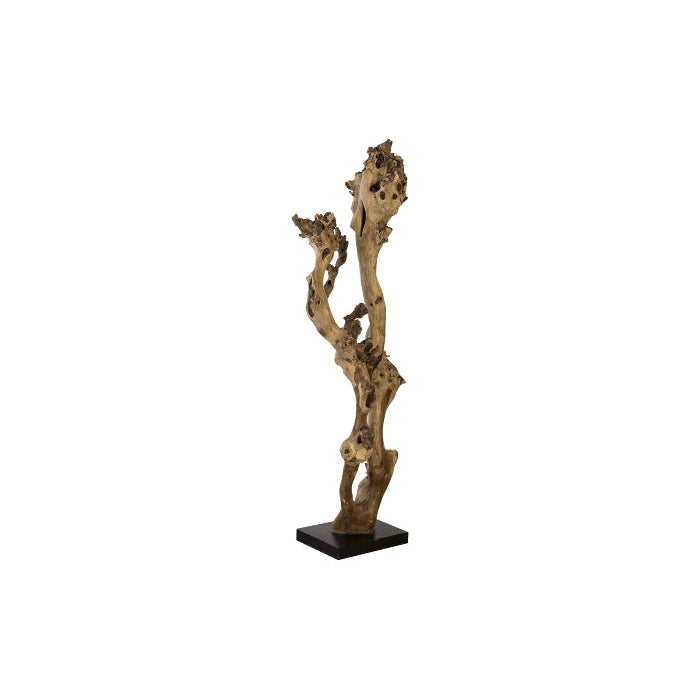 Phillips Collection, Wood Sculpture